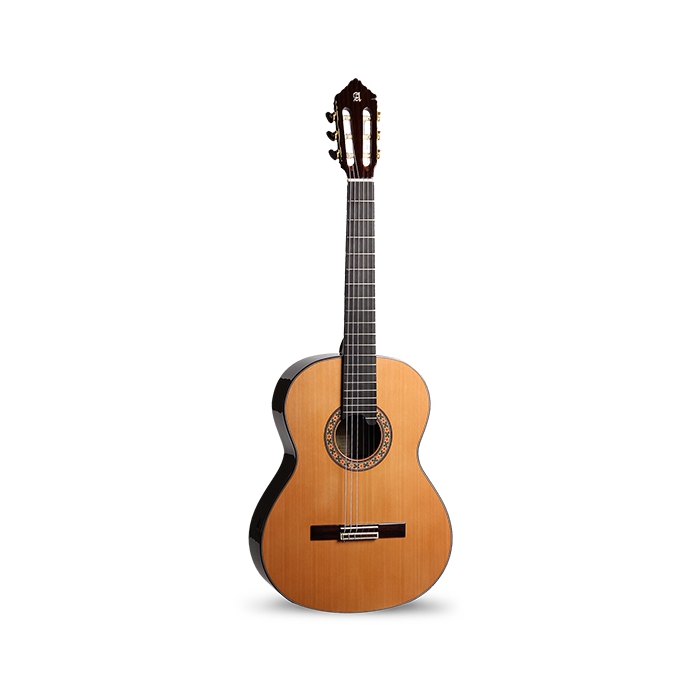 Классическая гитара, с футляром, Alhambra Classical Concert 10P Premier фото