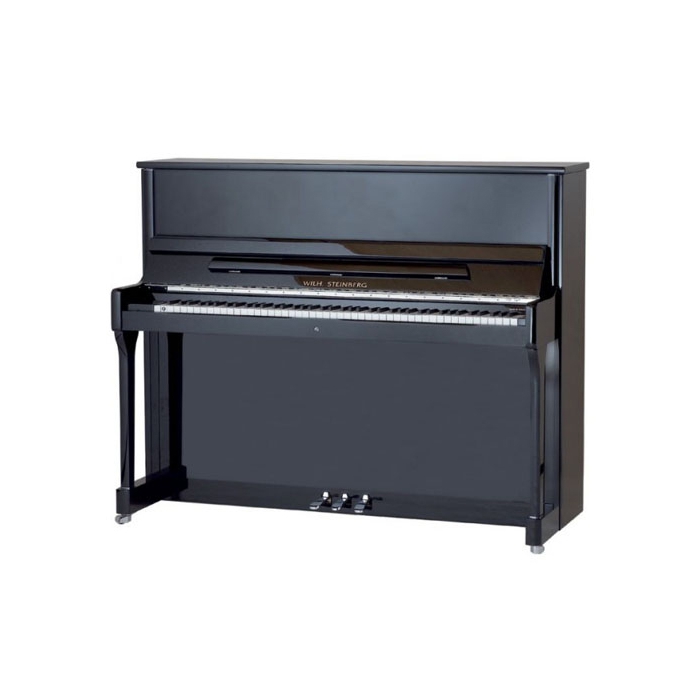 Пианино акустическое, черное, фурнитура хром, W.Steinberg Performance P118 фото