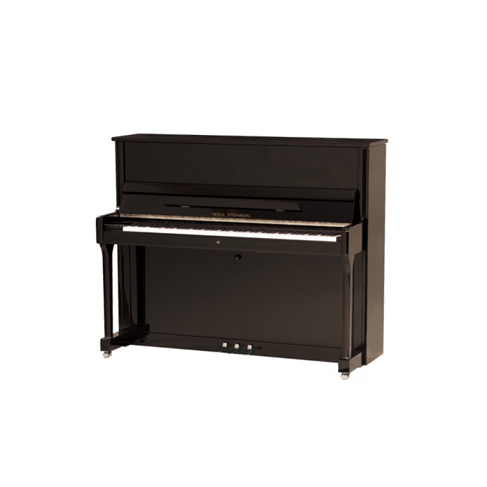 Пианино акустическое, черное, фурнитура хром, W.Steinberg Performance P121 фото