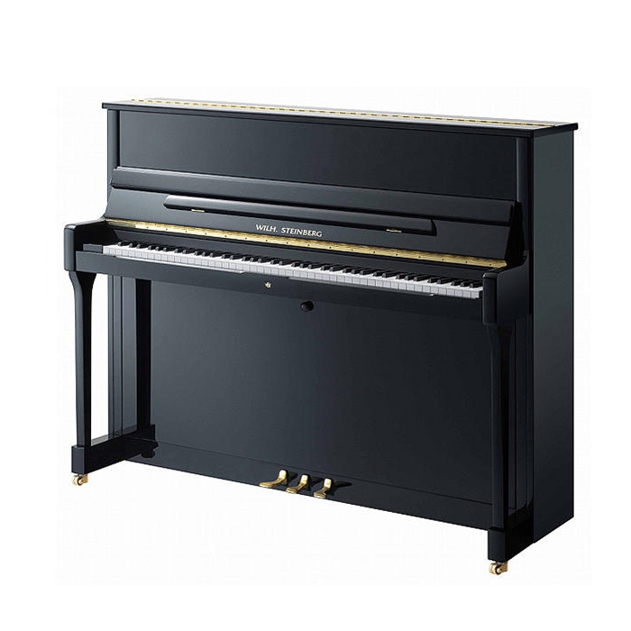 Пианино акустическое, черное, латунная фурнитура, W.Steinberg Performance P118 фото
